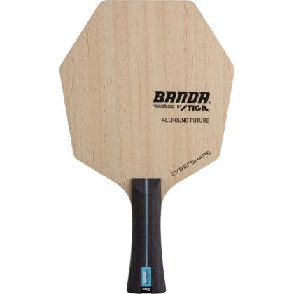 ستيجا باندا سايبرشيب